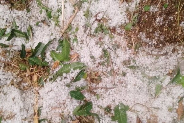 असिनाले बालीनालीमा पुर्याएको क्षतिको विवरण संकलन गर्दै डिलाशैनी 